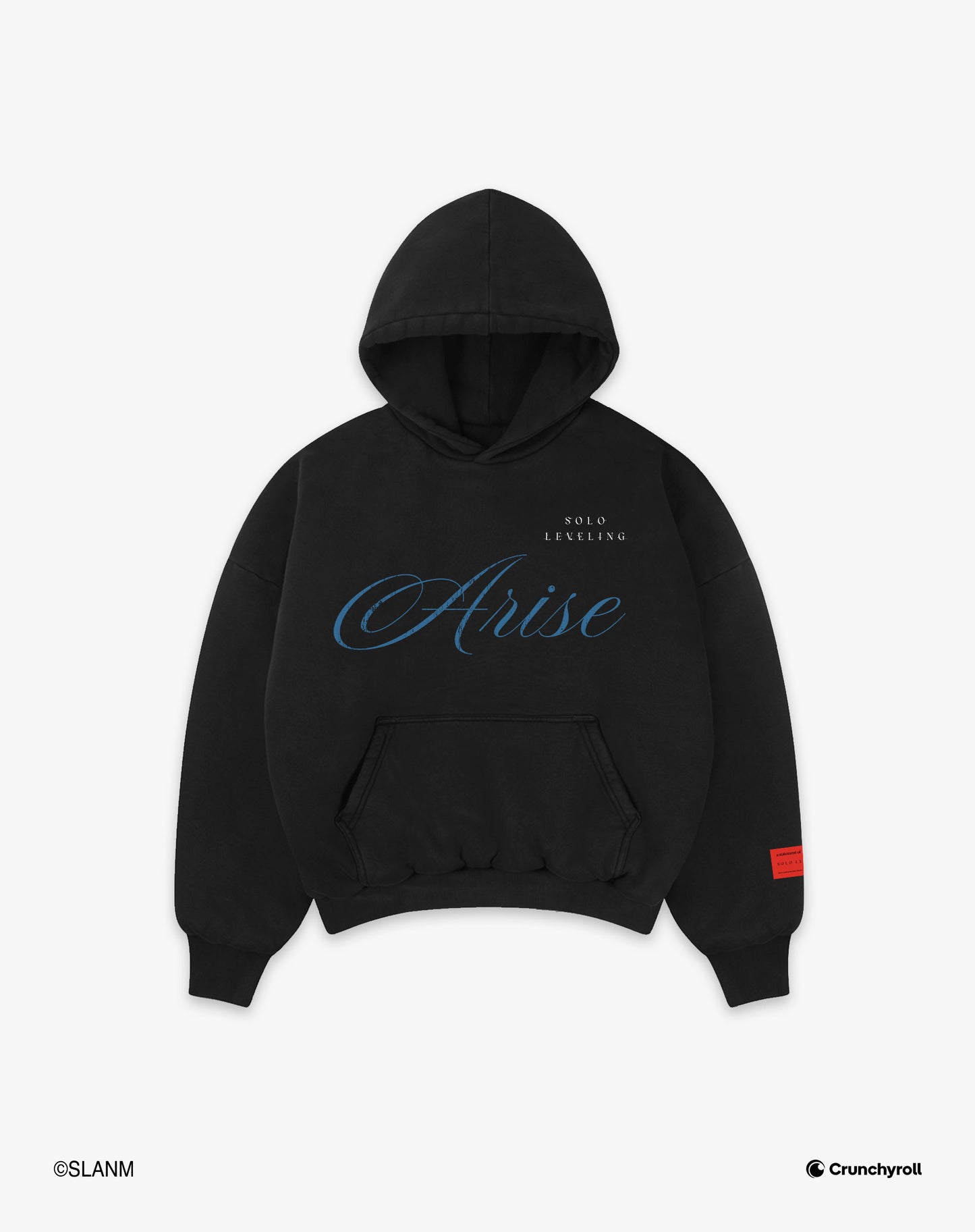 SOLO LEVELING Arise Hoodie