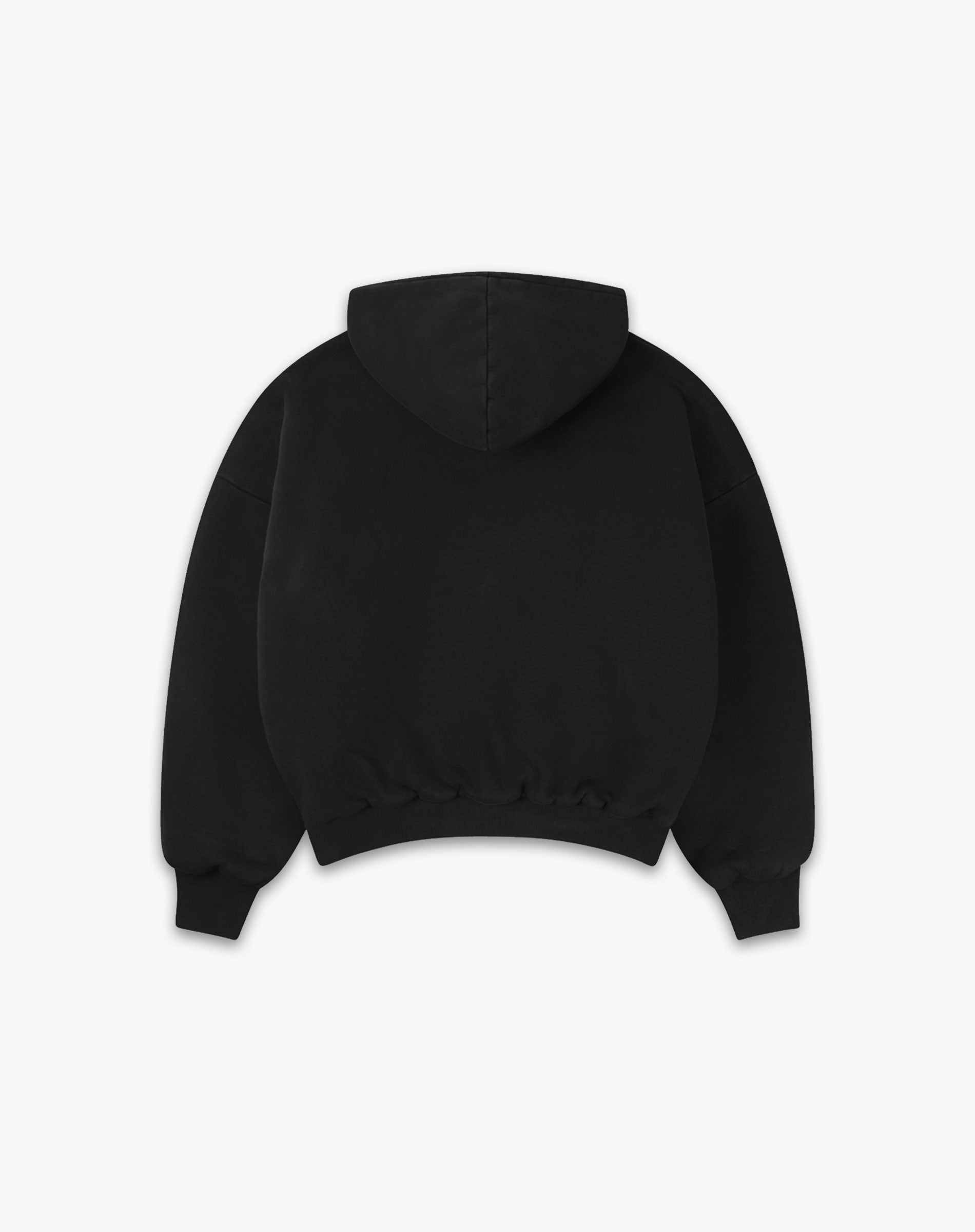RT-Hoodie-Back_da94c954-640e-4b9c-ac4c-272bdf3ac670.jpg